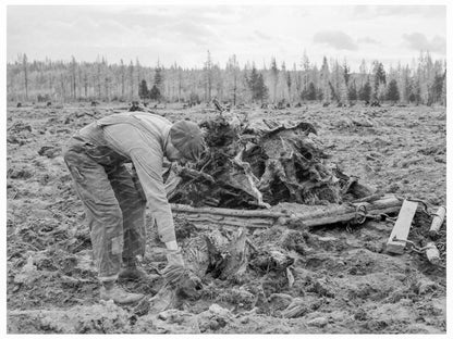 Ex - Lumber Worker Prepares Field in Idaho 1939 - Available at KNOWOL