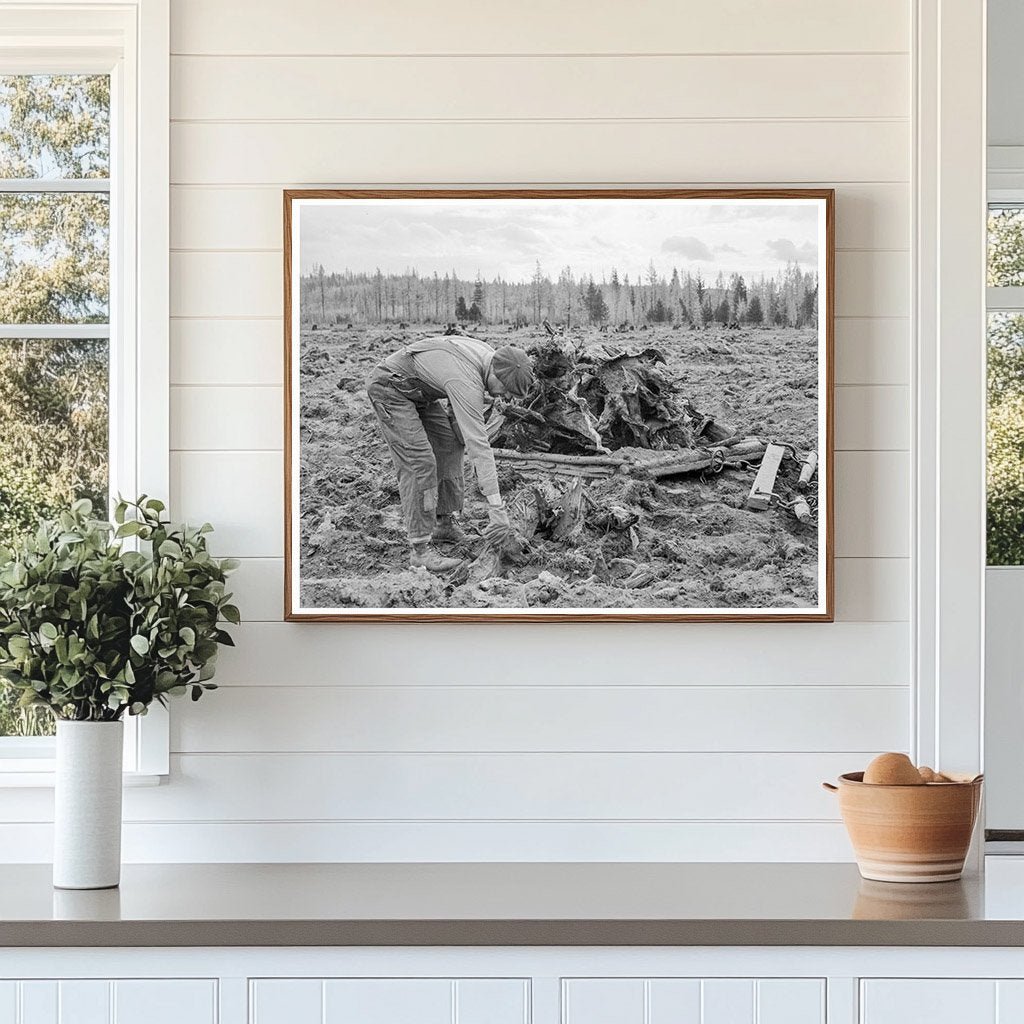 Ex - Lumber Worker Prepares Field in Idaho 1939 - Available at KNOWOL