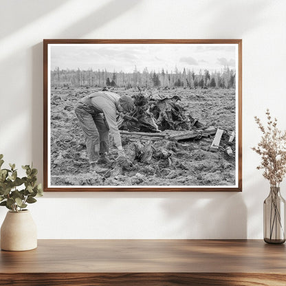 Ex - Lumber Worker Prepares Field in Idaho 1939 - Available at KNOWOL