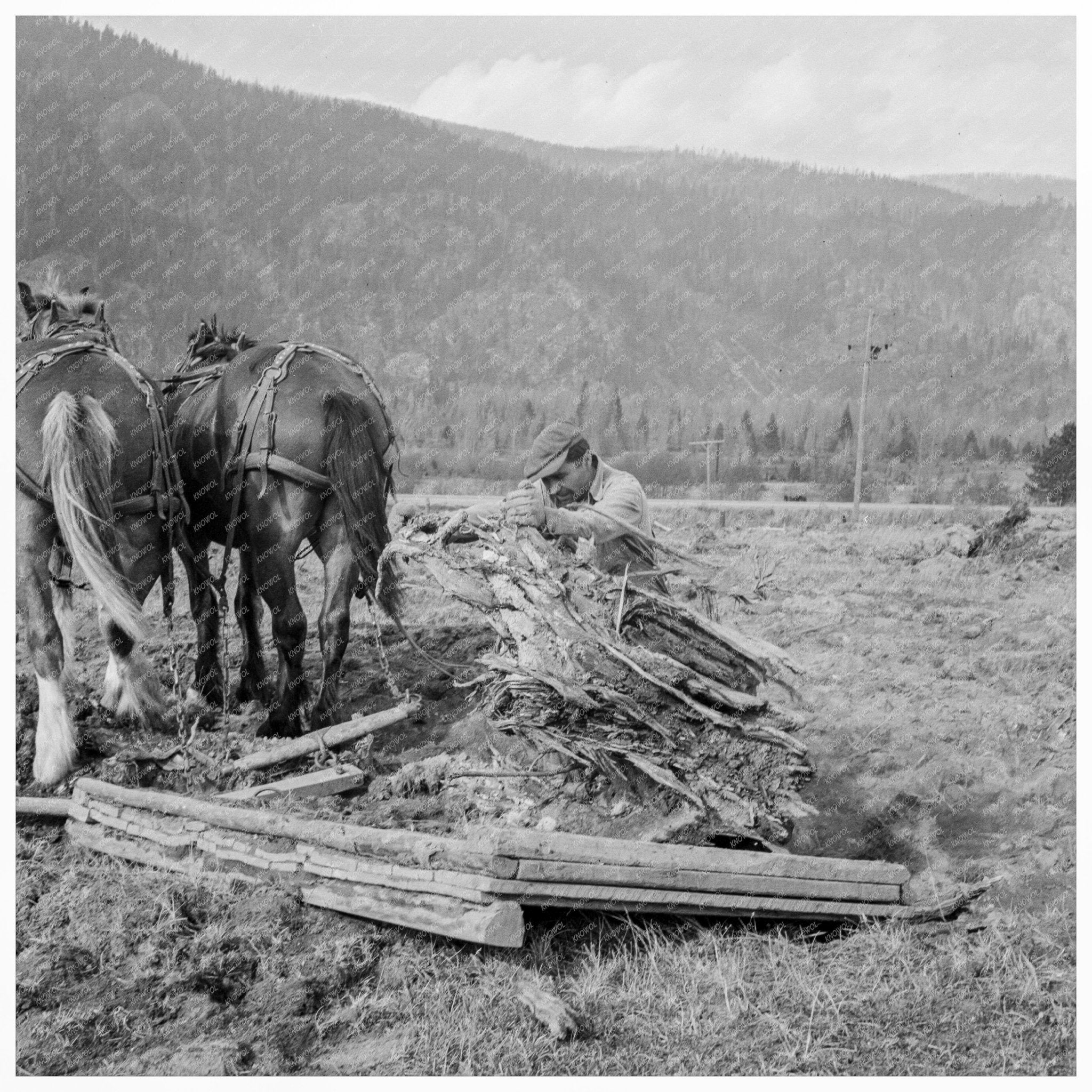 Ex - Mill Worker Clearing Field in Boundary County Idaho 1939 - Available at KNOWOL