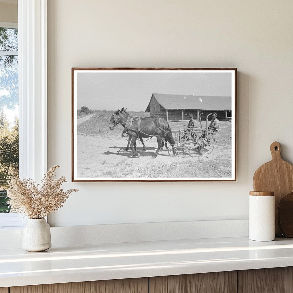 Ex - Sharecropper Walking to Work in Missouri Fields 1938 - Available at KNOWOL