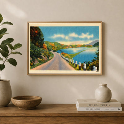 Road overlooking waterway — Vintage Maryland Postcard