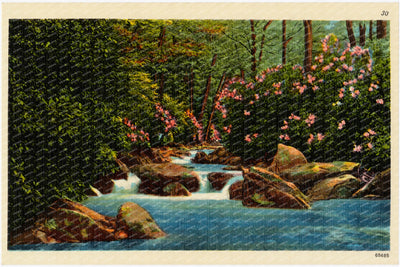 A mountain trout stream near Hagerstown, MD — Vintage Maryland Postcard
