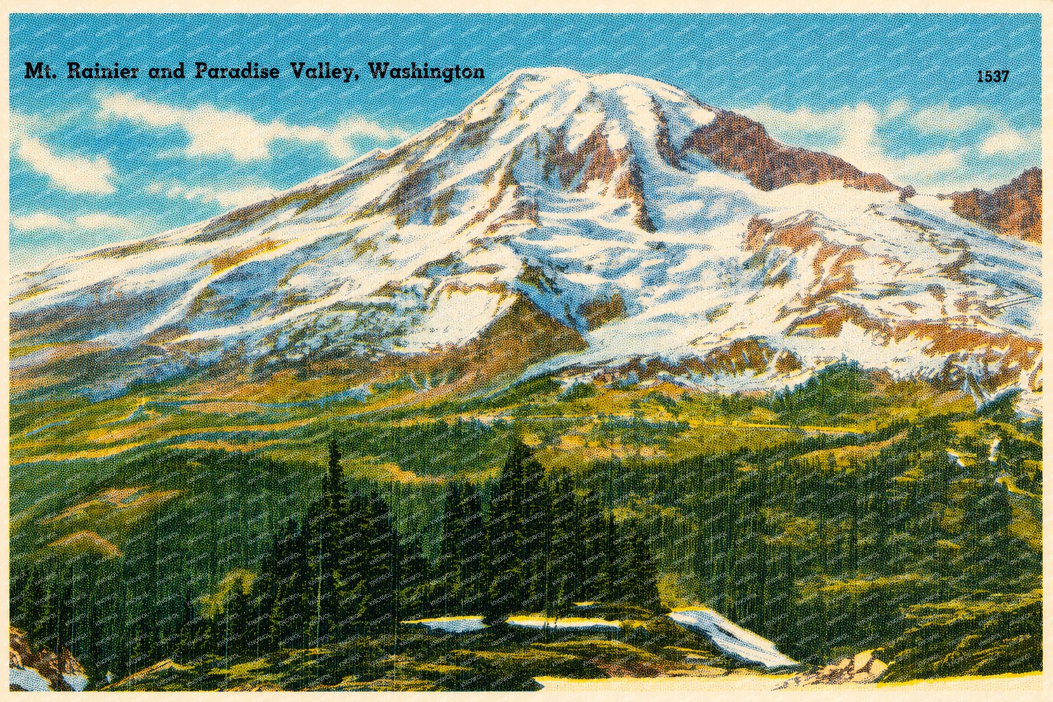 Paradise Valley, WA: Mt. Rainier and Paradise Valley