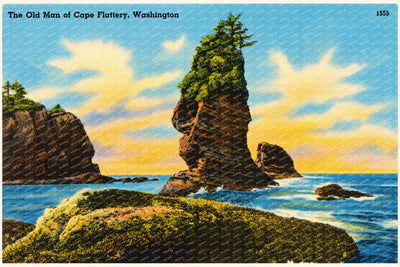 Flattery, Cape, WA: The Old Man of Cape Flattery