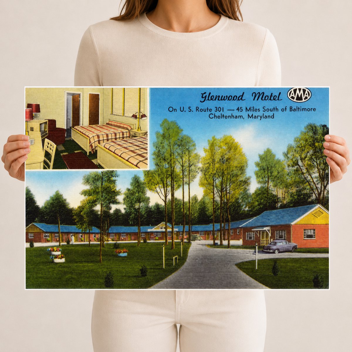 Glenwood Motel on U. S. Route 301 -- 45 Miles South of Baltimore, Cheltenham, Maryland — Vintage Maryland Postcard