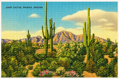 Phoenix, AZ: Giant cactus