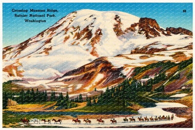 Mazama Ridge, WA: Crossing Mazama Ridge, Rainier National Park