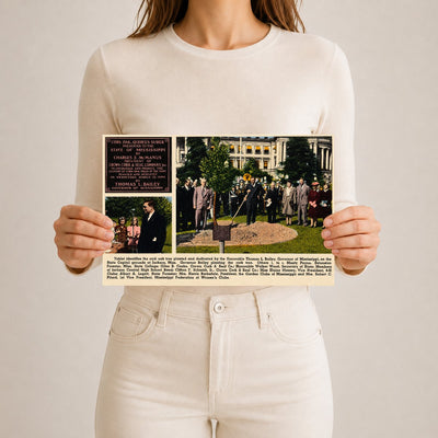 MS: Tablet identifies the cork oak tree planted and dedicated by the Honorable Thomas L. Bailey, Governor of Mississippi, on the State Capitol grounds at Jackson