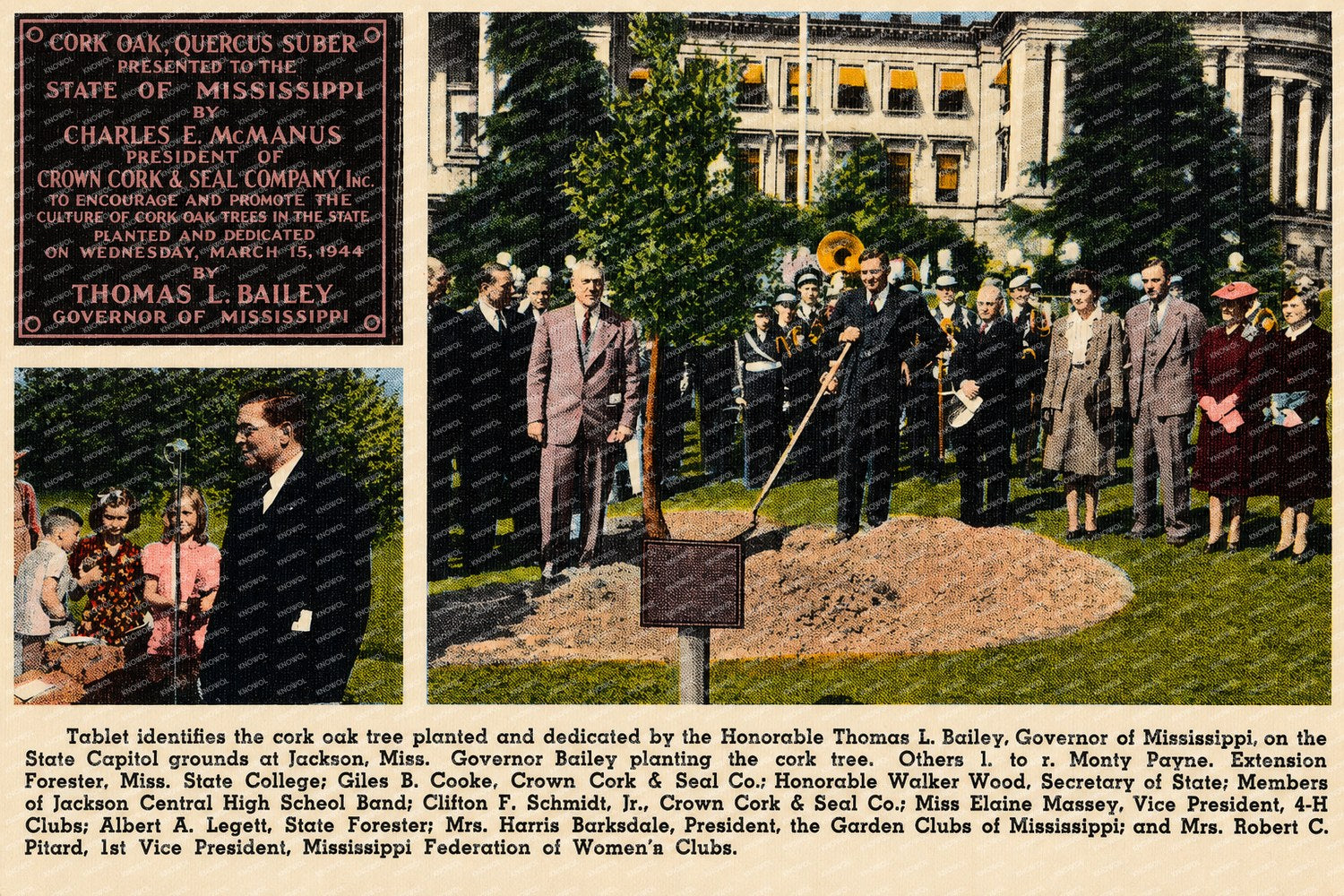 MS: Tablet identifies the cork oak tree planted and dedicated by the Honorable Thomas L. Bailey, Governor of Mississippi, on the State Capitol grounds at Jackson