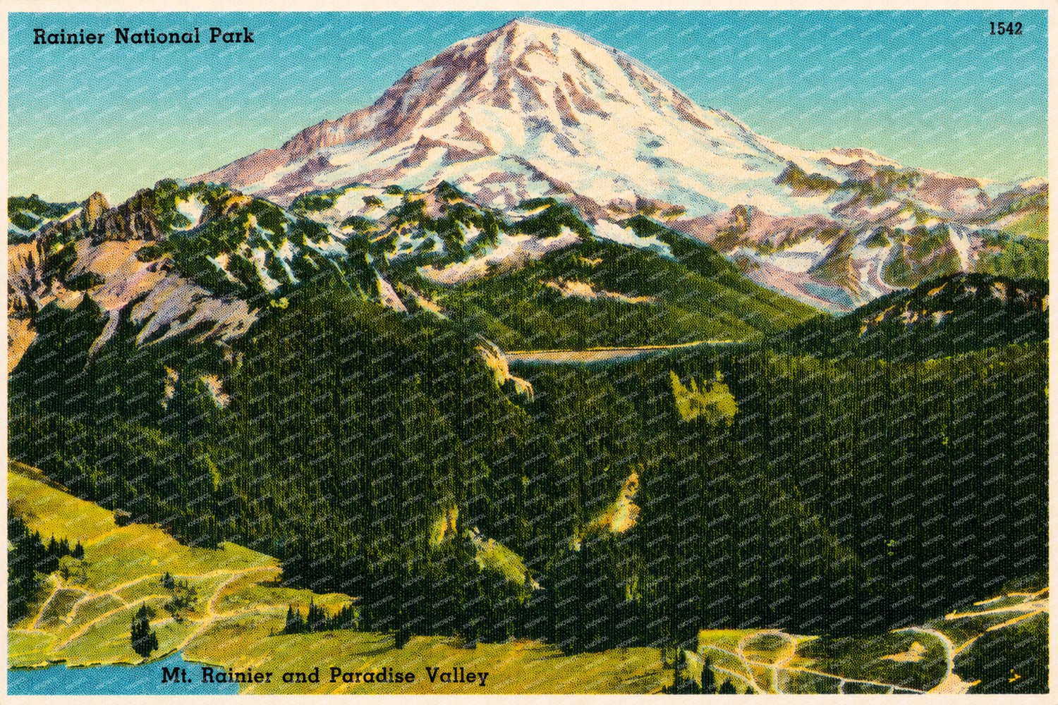 Mount Rainier National Park, WA: Rainier National Park, Mt. Rainier and Paradise Valley