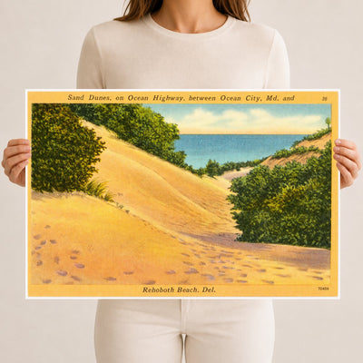 Sand dunes, on Ocean Highway, between Ocean City, MD and Rehoboth Beach. Del. — Vintage Maryland Postcard