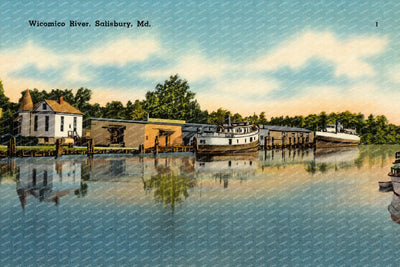 Wicomico River, Salisbury, MD — Vintage Maryland Postcard