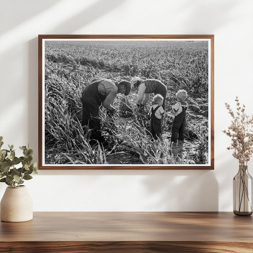 Family Farming in Manteca California 1938 - Available at KNOWOL