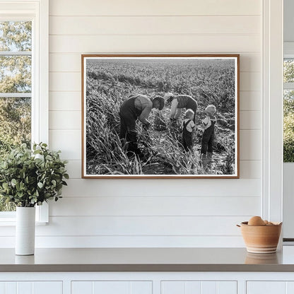 Family Farming in Manteca California 1938 - Available at KNOWOL