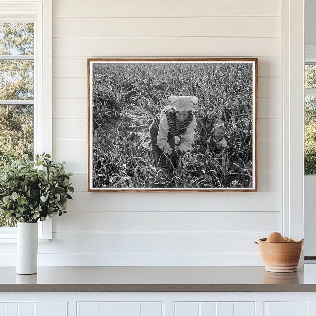 Family Harvesting Milo Maize California Farm 1938 - Available at KNOWOL