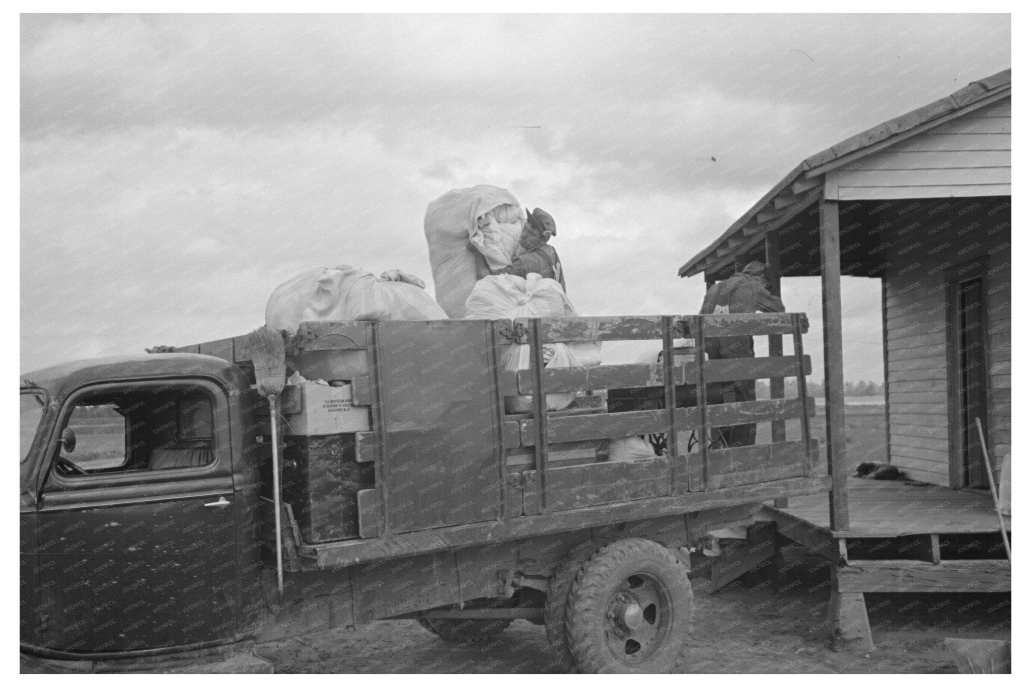 Family Moving in New Madrid County Missouri May 1938 - Available at KNOWOL