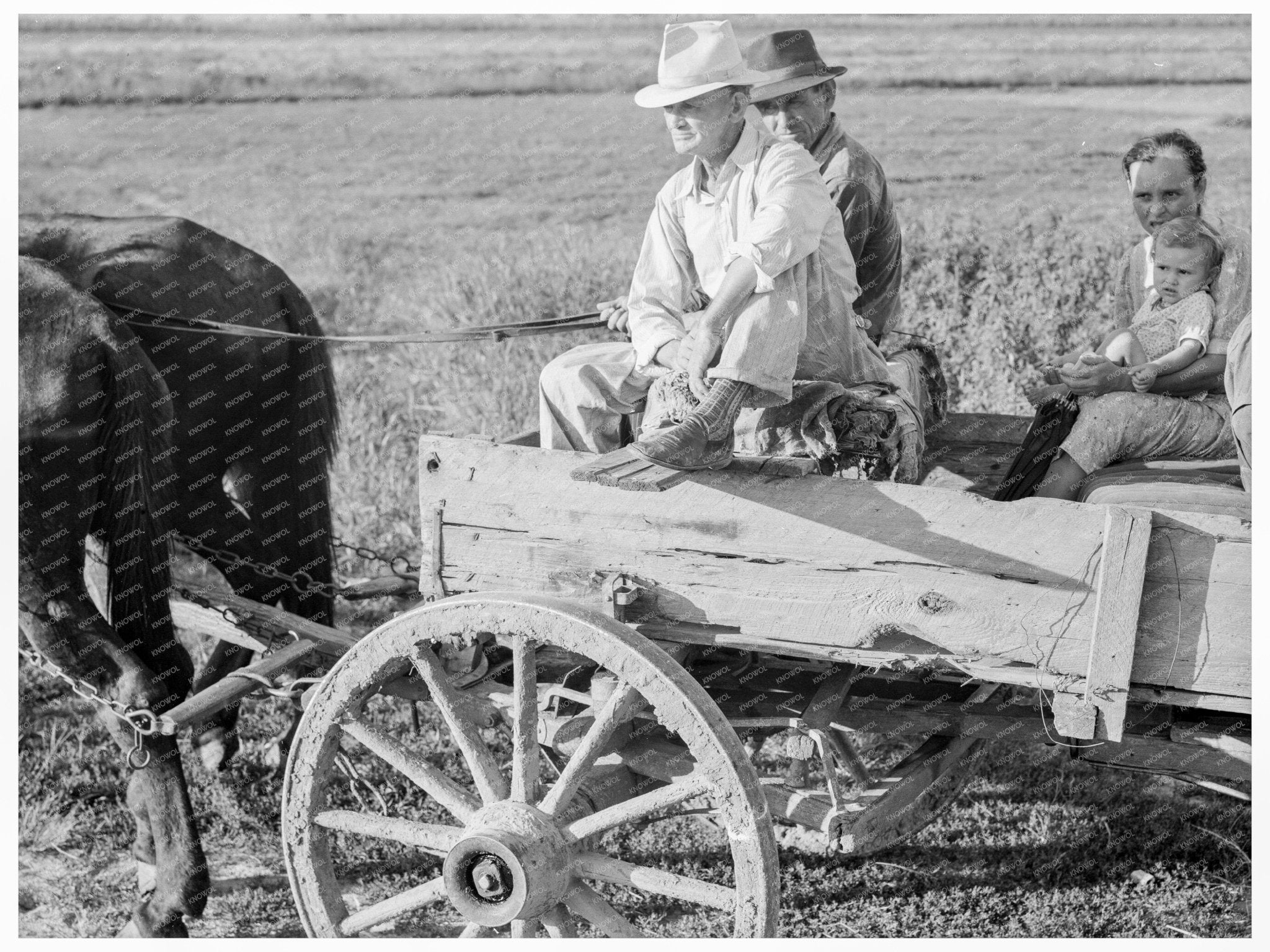 Family Traveling by Horse and Wagon Southeast Missouri 1938 - Available at KNOWOL