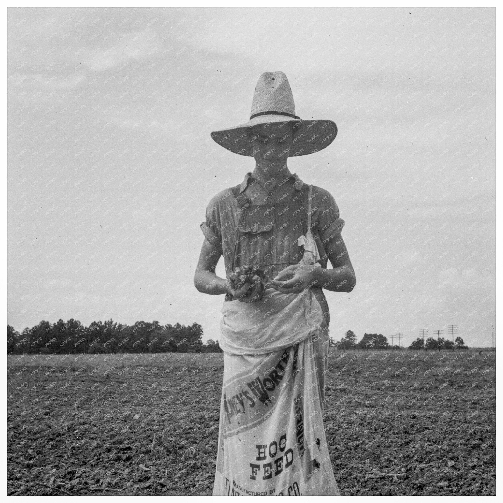 Farm Boy with Boll Weevils in Macon County Georgia 1937 - Available at KNOWOL