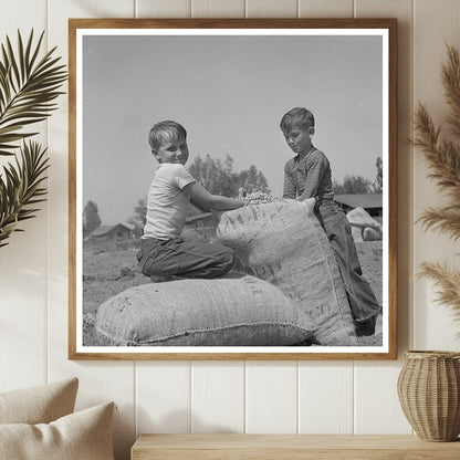 Farm Boys with Seed Peanuts Merced County 1942 - Available at KNOWOL