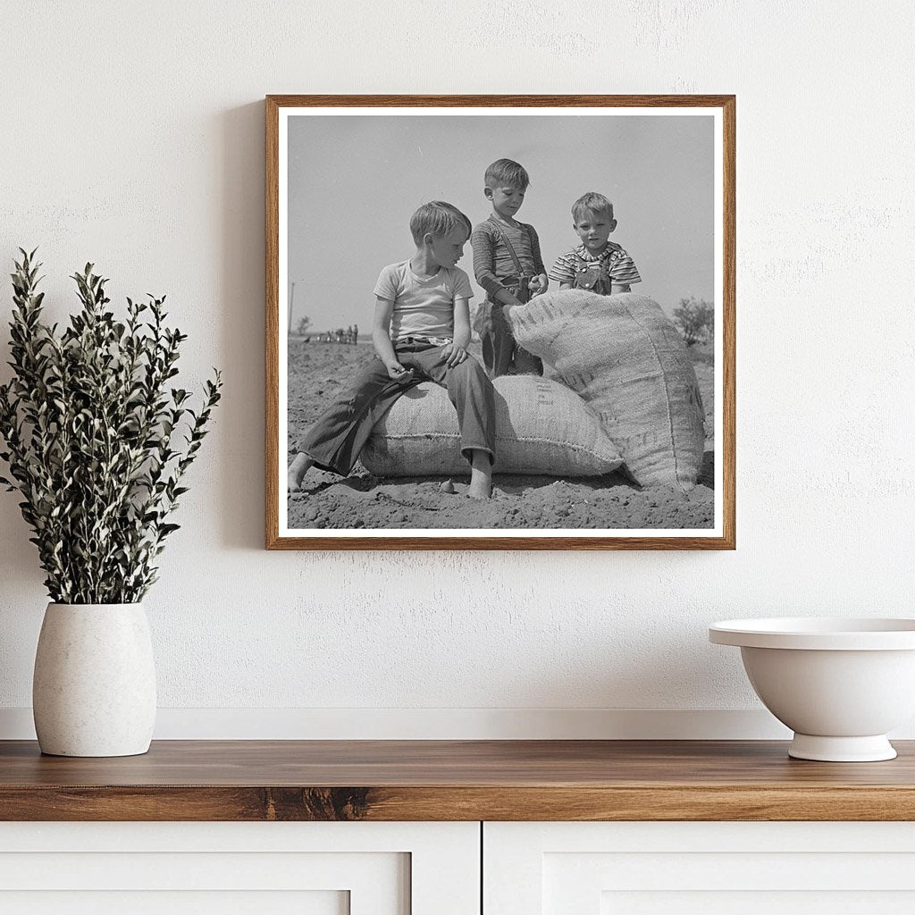 Farm Boys with Seed Peanuts Merced County California 1942 - Available at KNOWOL