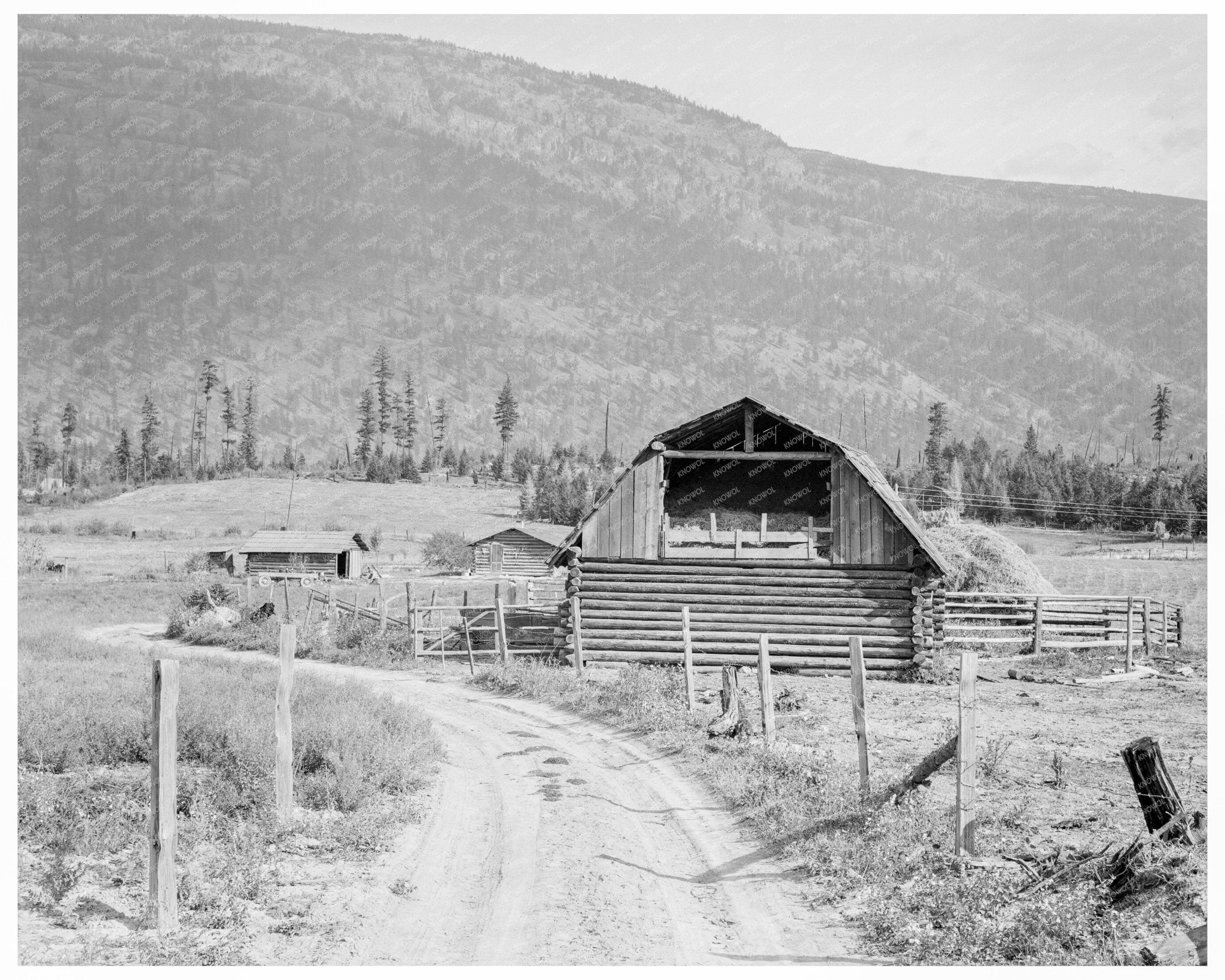 Farm Clearing Efforts Idaho 1939 Historical Image - Available at KNOWOL