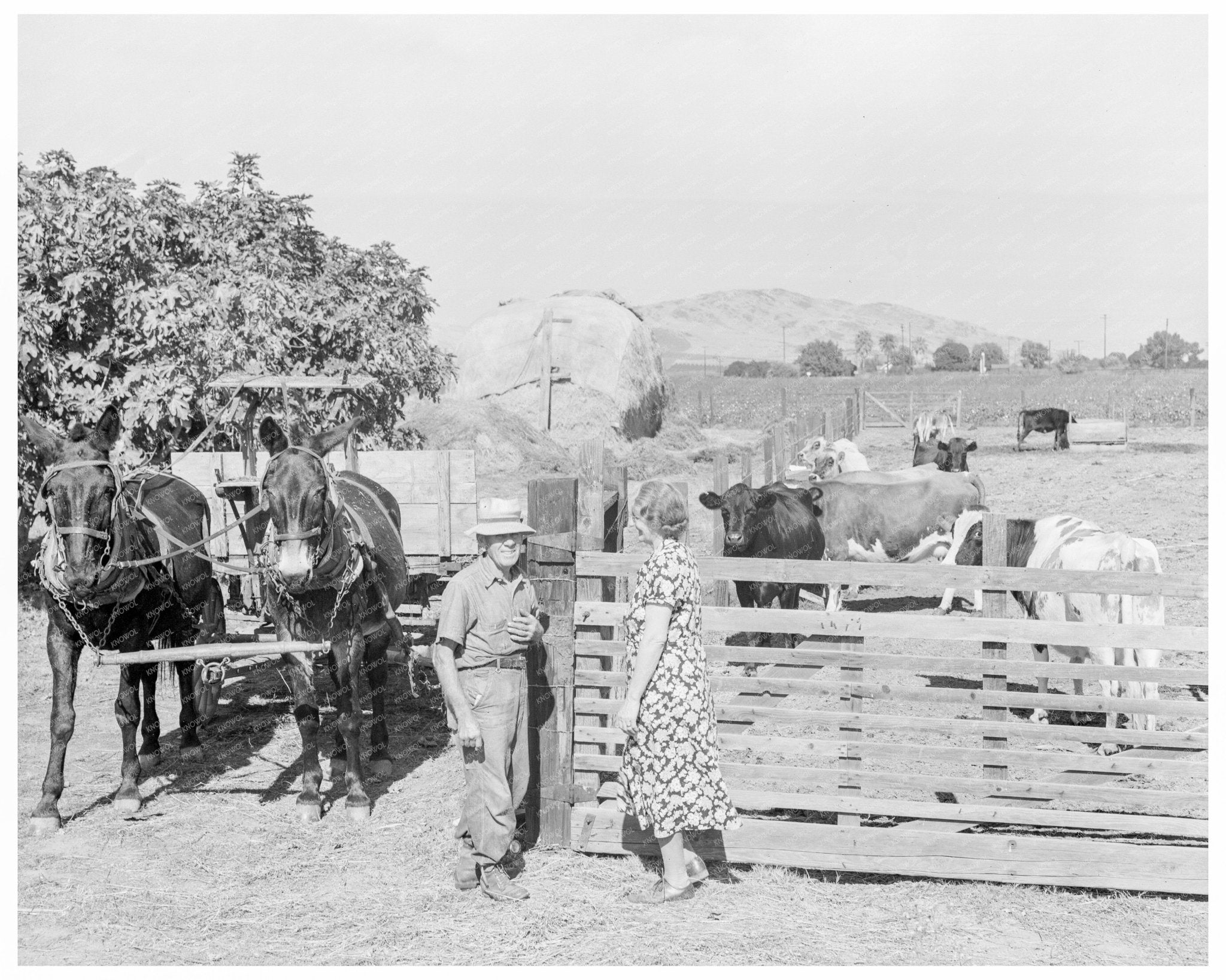 Farm Couples Success Story Tulare County 1938 - Available at KNOWOL