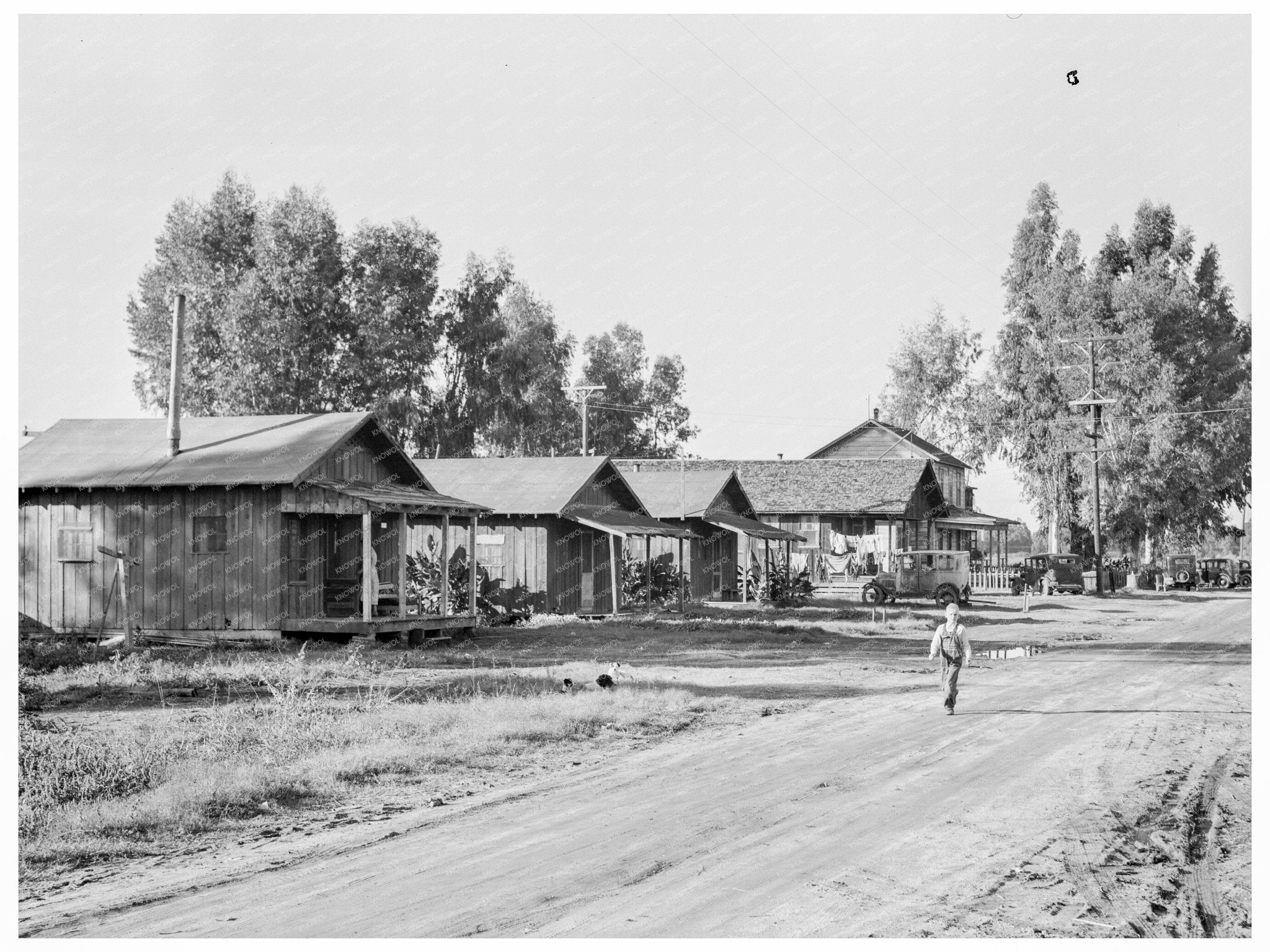 Farm Experiment at Mineral King Ranch November 1938 - Available at KNOWOL