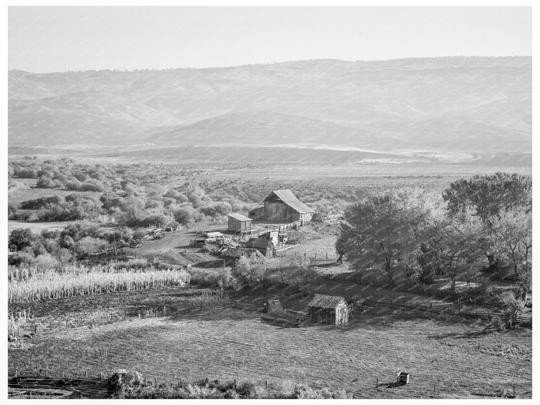 Farm in Gem County Idaho 1939 with Livestock and Sawmill - Available at KNOWOL