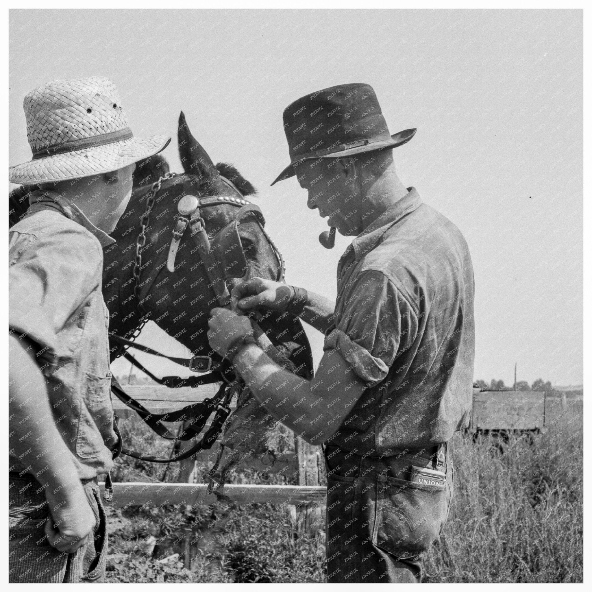 Farm Labor and Family Dynamics on Myers Farm 1939 - Available at KNOWOL