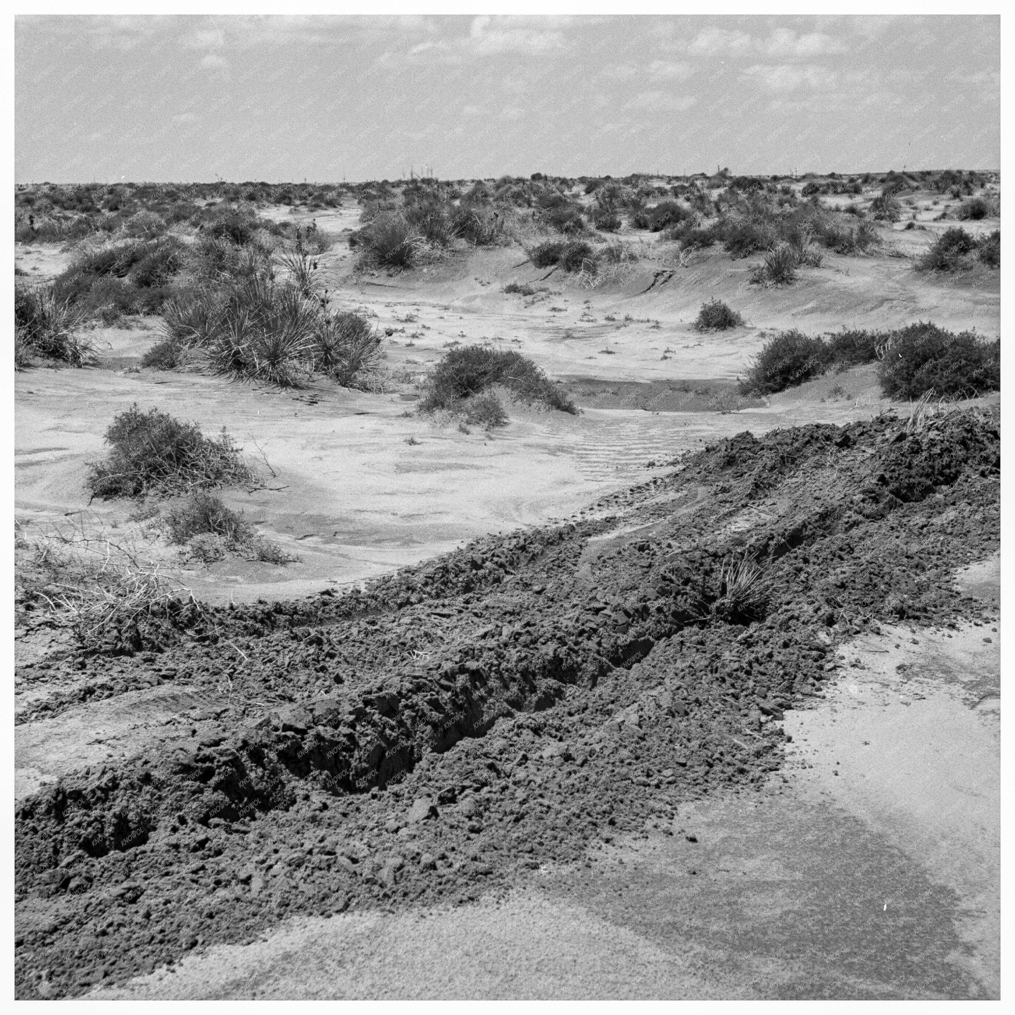 Farm Laborers Leveling Hummocks Texas 1938 Dust Bowl - Available at KNOWOL