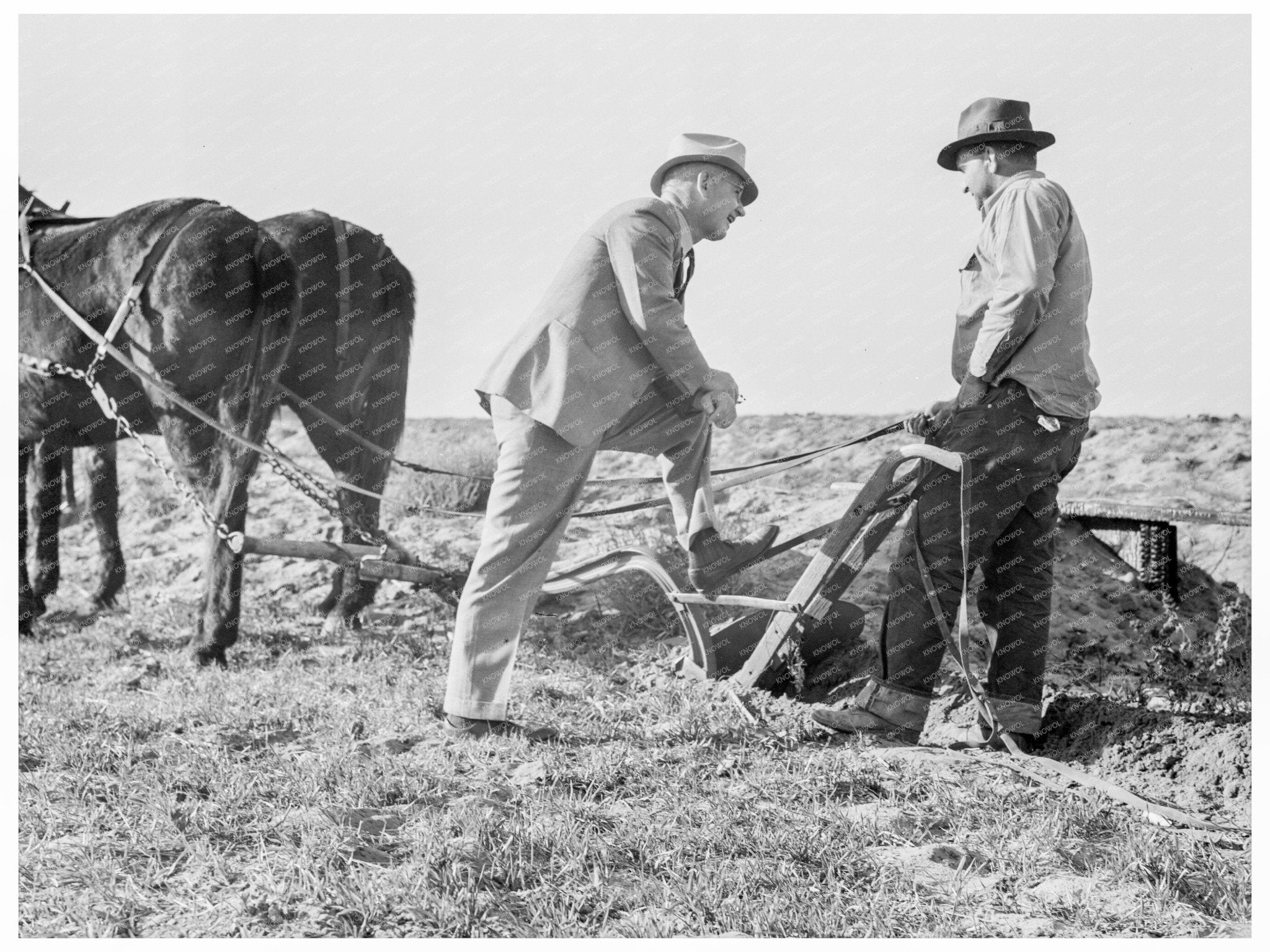 Farm Purchasing Successes under Bankhead - Jones Act 1938 - Available at KNOWOL