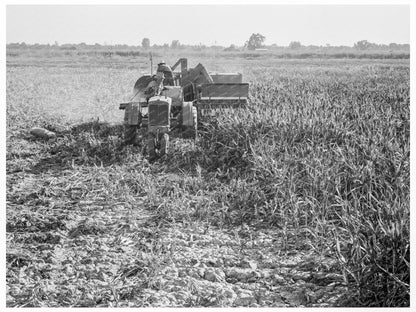 Farm Security Administration All - Crop Harvester 1938 - Available at KNOWOL