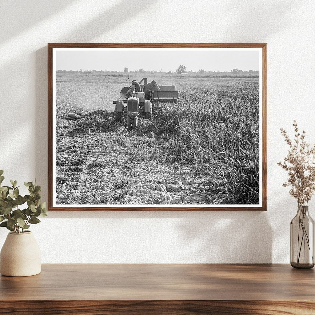 Farm Security Administration All - Crop Harvester 1938 - Available at KNOWOL