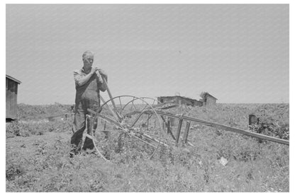 Farm Security Administration Client on Cultivator 1938 - Available at KNOWOL