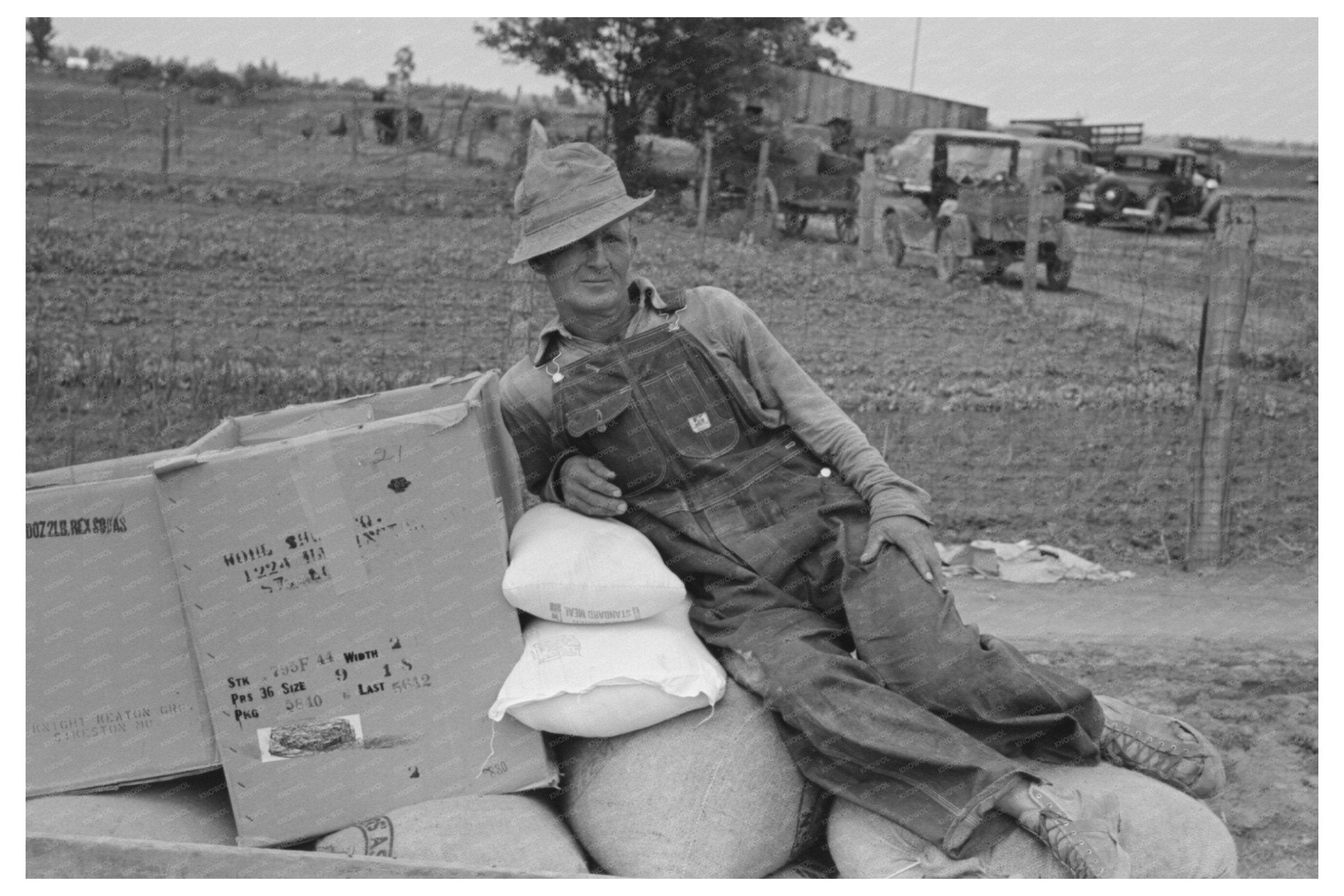 Farm Security Administration Client with Groceries May 1938 - Available at KNOWOL