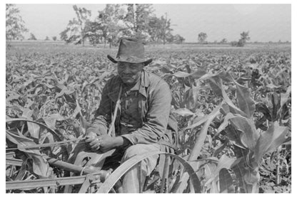 Farm Security Administration Corn Cultivation New Madrid County 1938 - Available at KNOWOL