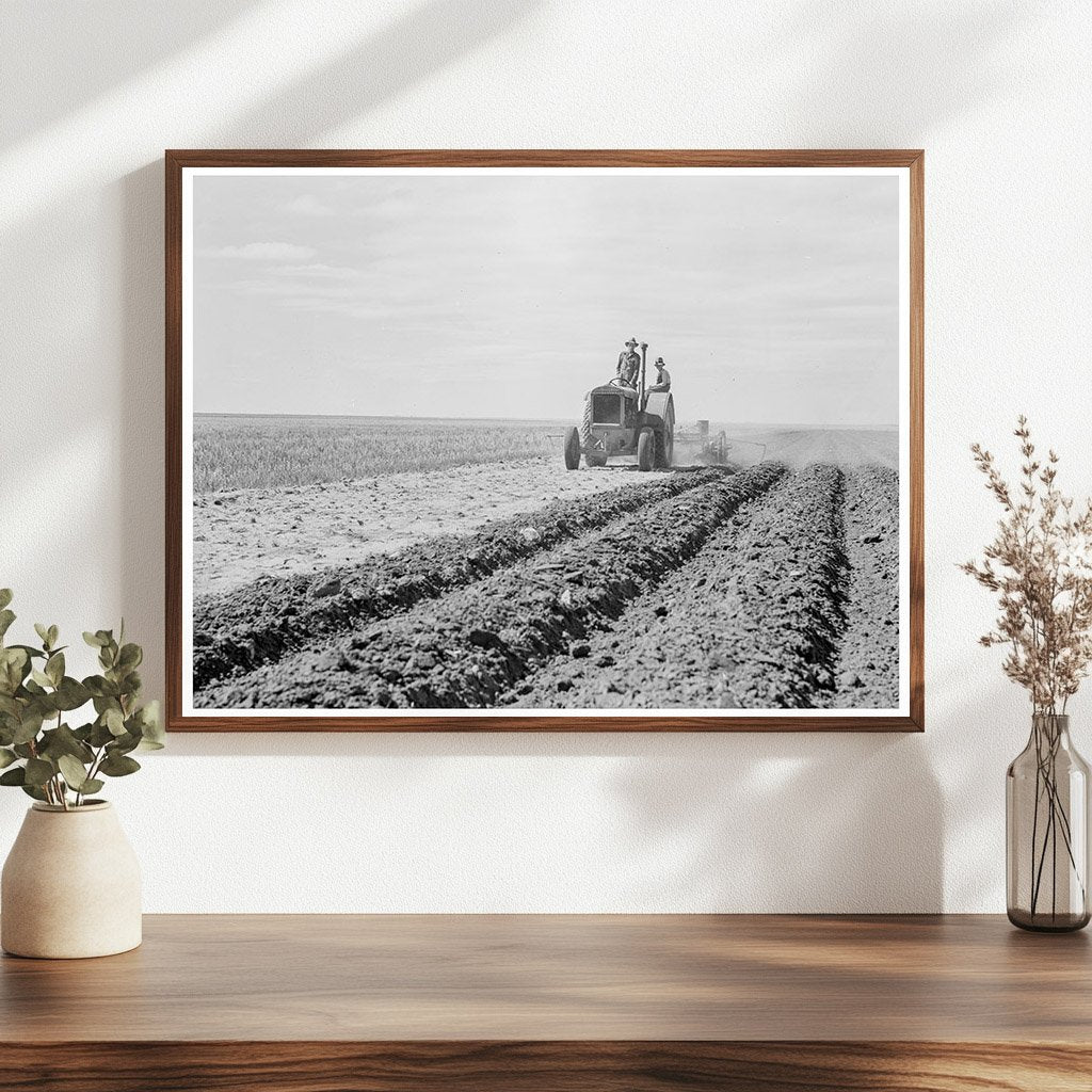 Farmer and Son on Tractor in New Mexico 1938 - Available at KNOWOL