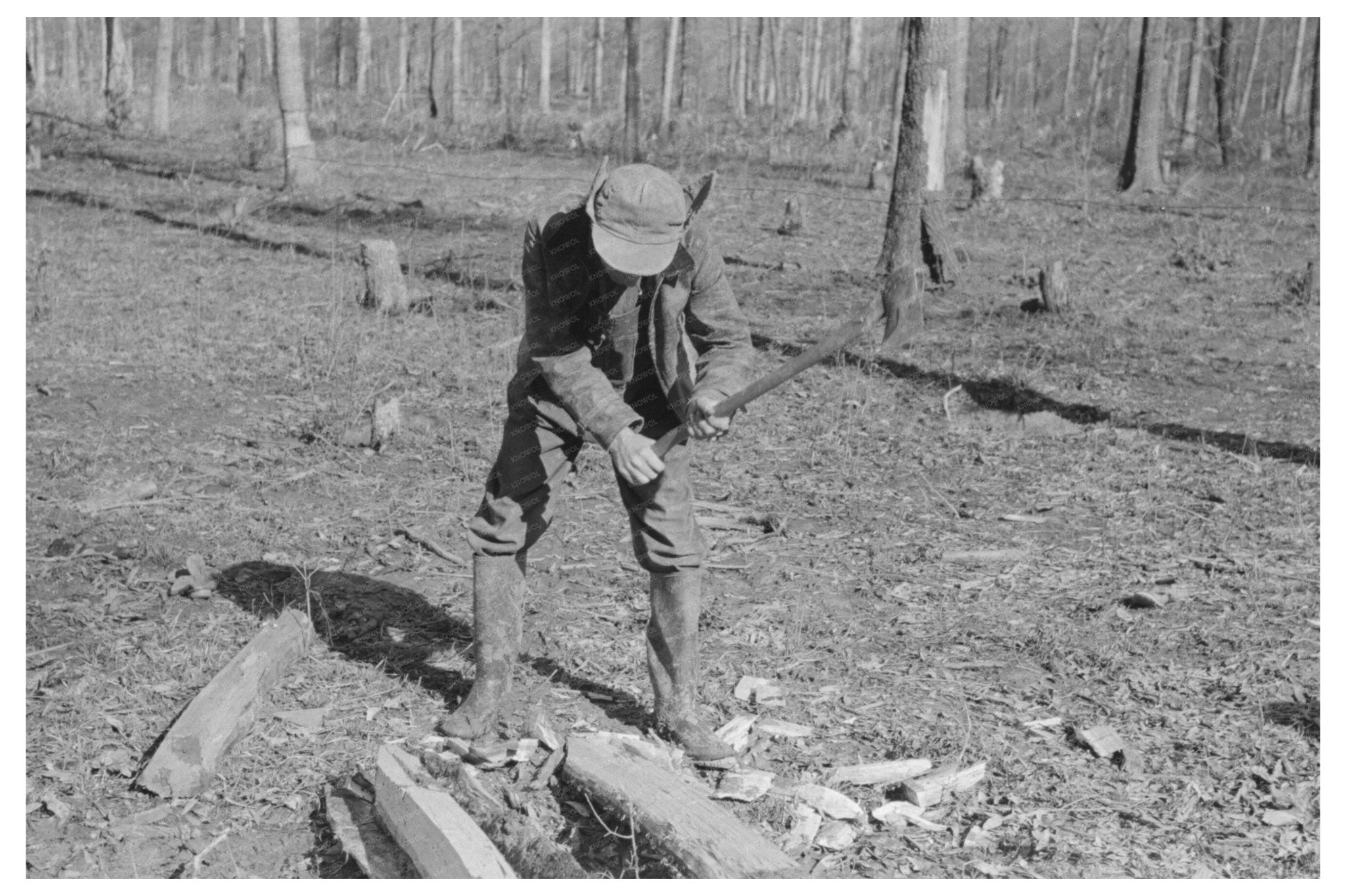 Farmer at Chicot Farms Arkansas January 1939 - Available at KNOWOL