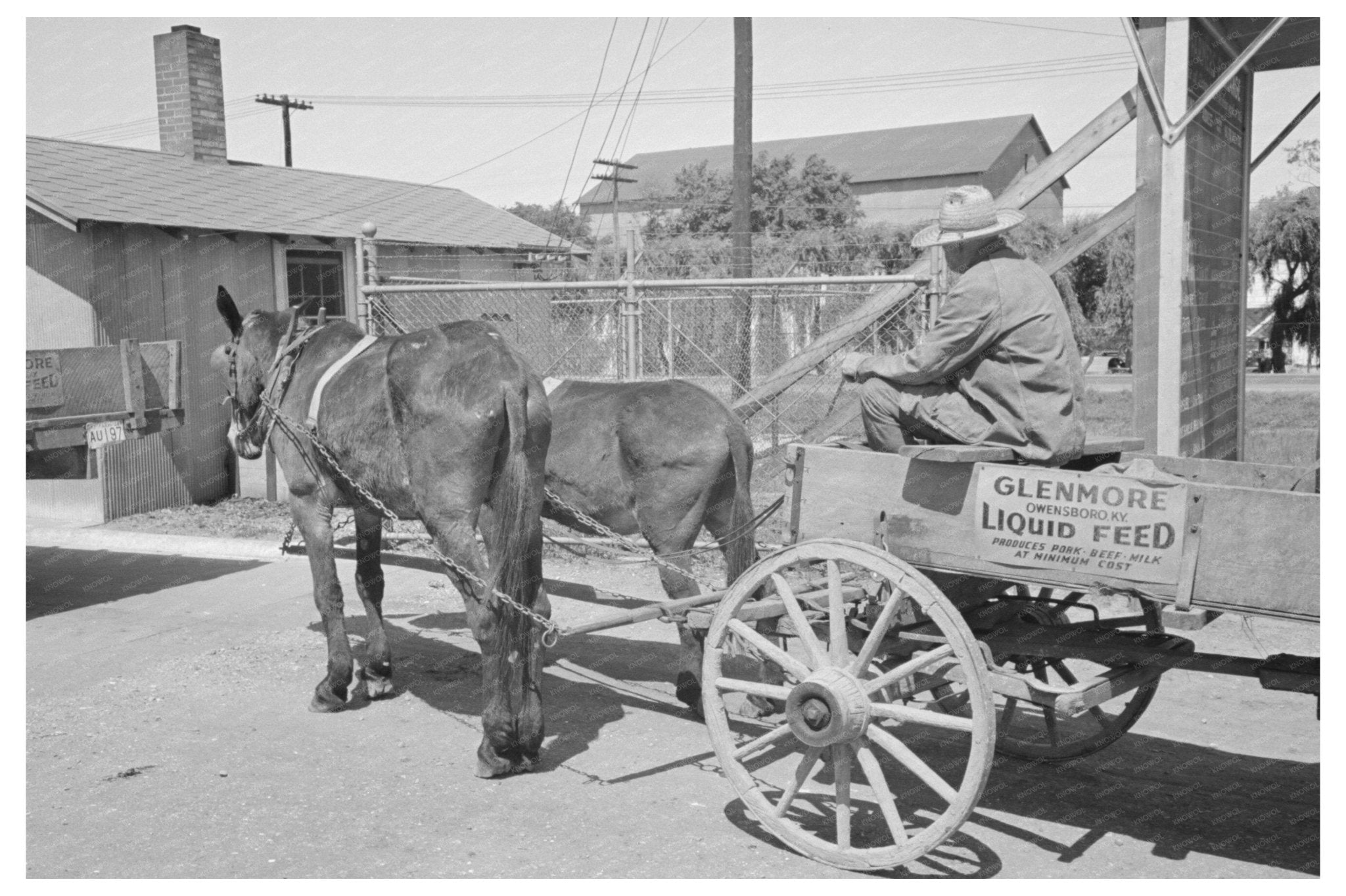 Farmer at Liquid Feed Station Owensboro Kentucky 1938 - Available at KNOWOL