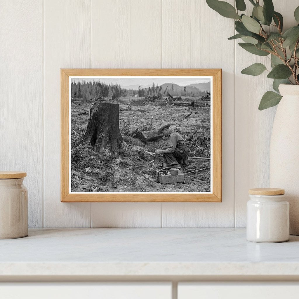 Farmer Detonating Tamarack Stump Bonner County Idaho 1939 - Available at KNOWOL