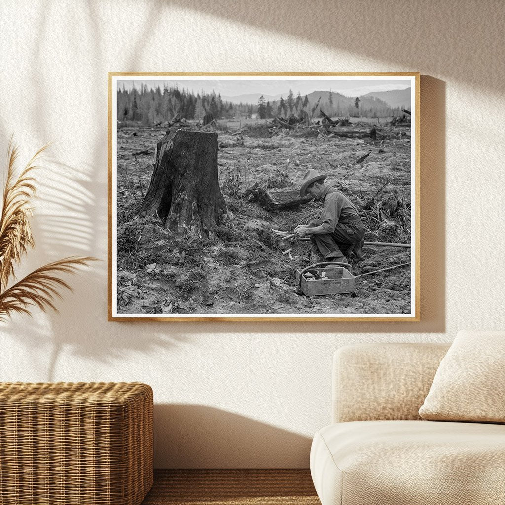 Farmer Detonating Tamarack Stump Bonner County Idaho 1939 - Available at KNOWOL