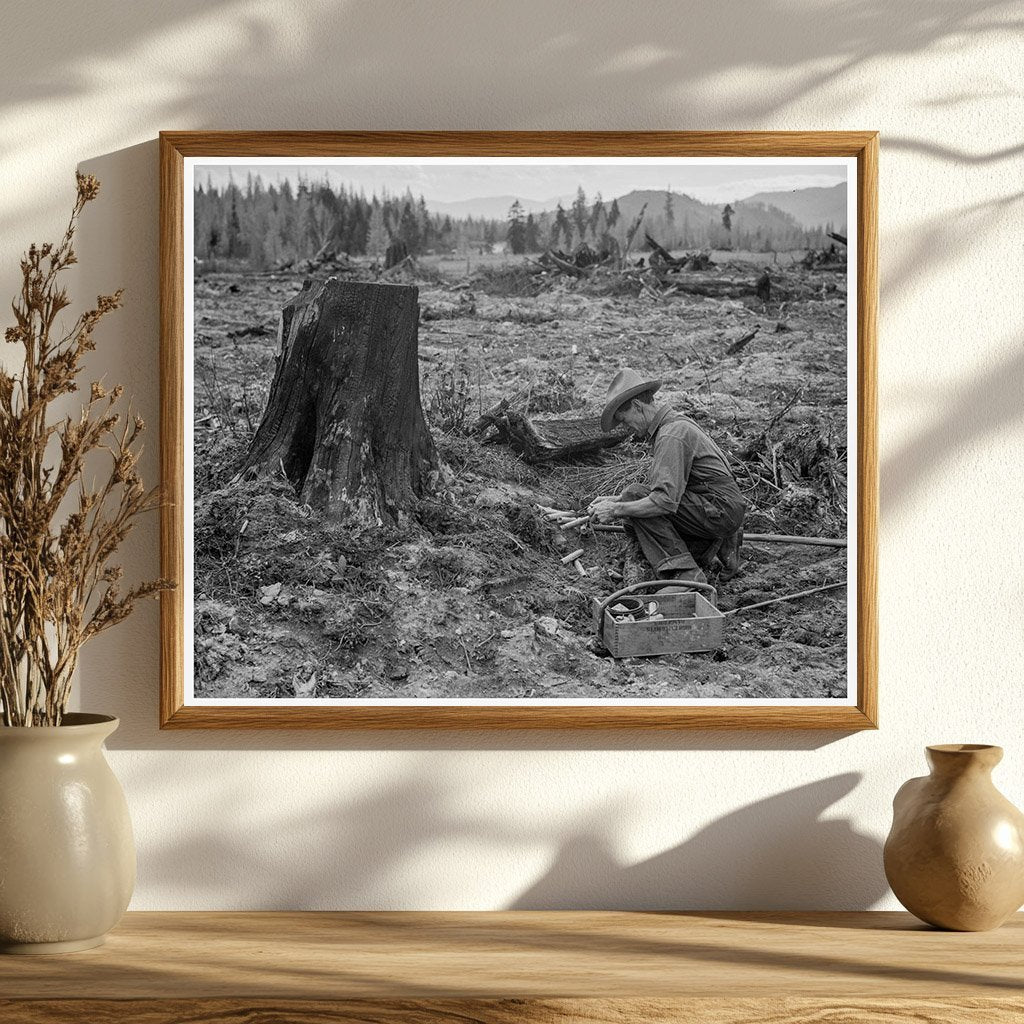 Farmer Detonating Tamarack Stump Bonner County Idaho 1939 - Available at KNOWOL