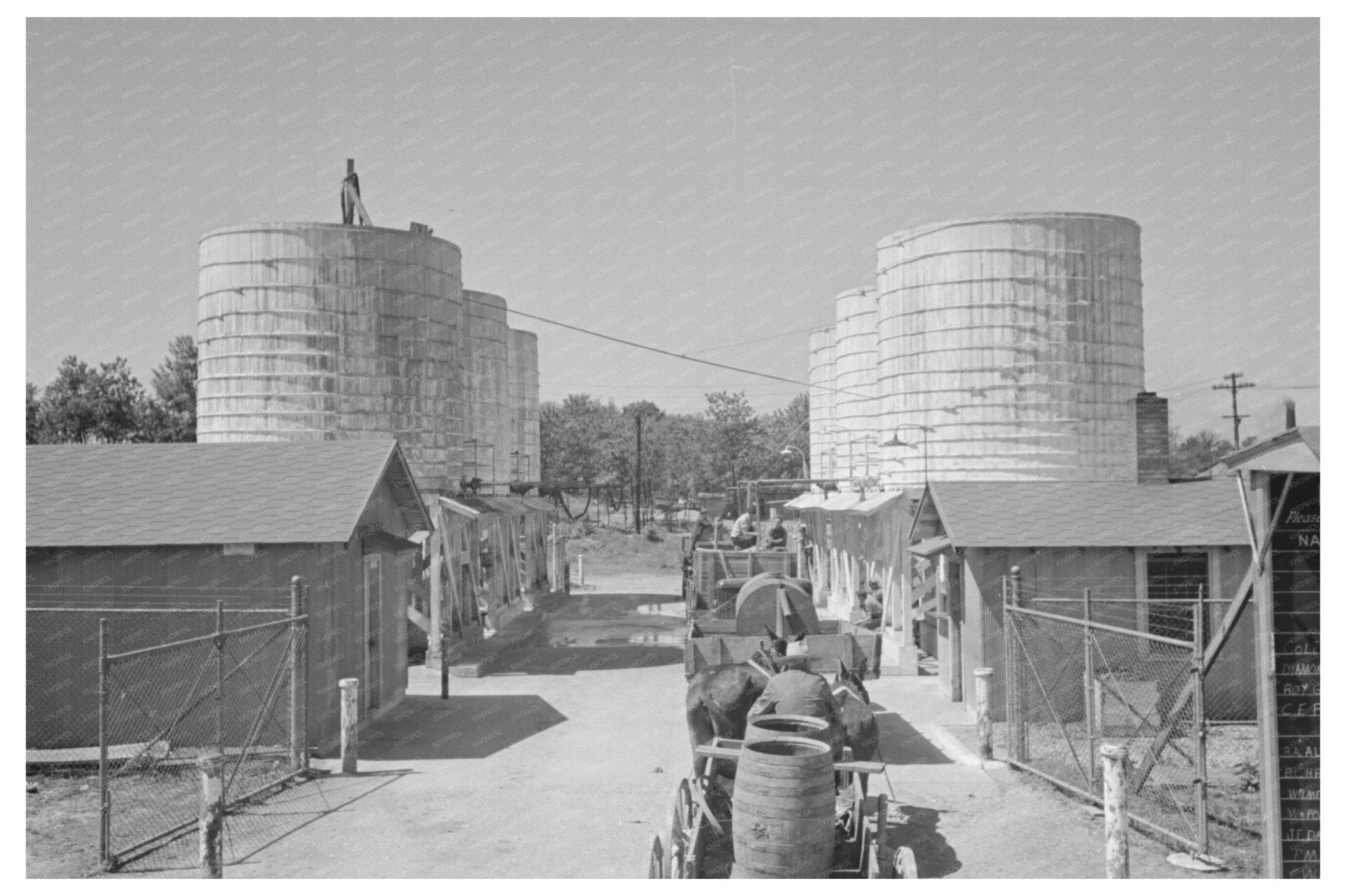 Farmer in Owensboro Kentucky Waiting for Liquid Feed 1938 - Available at KNOWOL