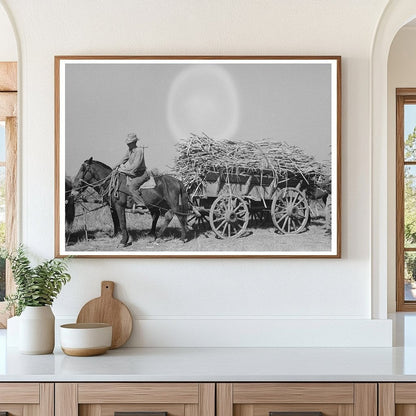 Farmer on Horse Cart with Sugarcane Delcambre 1938 - Available at KNOWOL