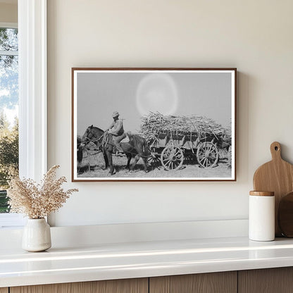 Farmer on Horse Cart with Sugarcane Delcambre 1938 - Available at KNOWOL