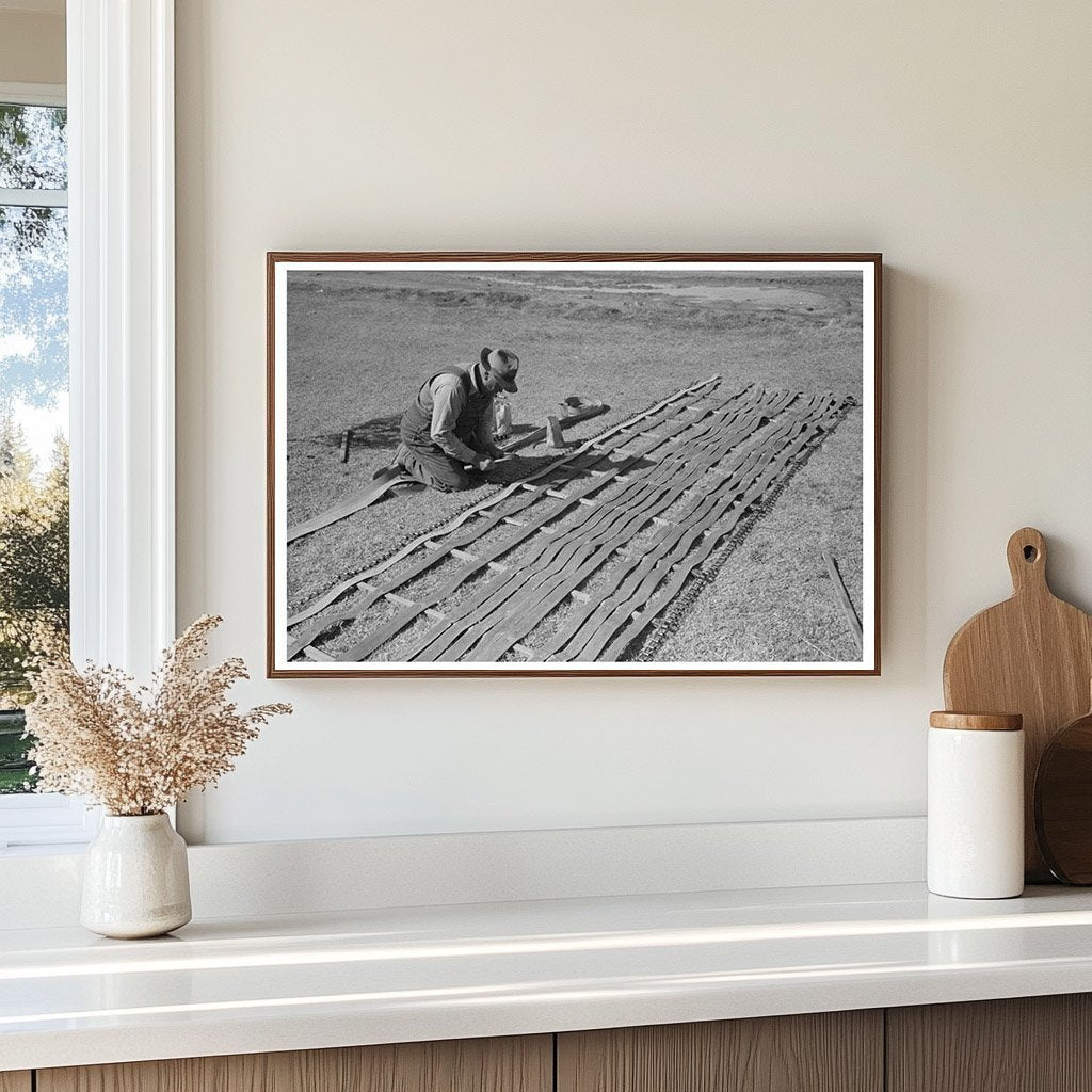 Farmer Repairing Conveyor Belt in Imperial County 1942 - Available at KNOWOL