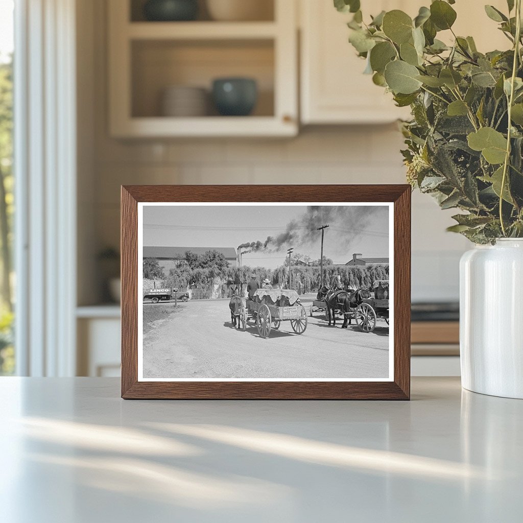 Farmer Transporting Liquid Feed Owensboro Kentucky 1938 - Available at KNOWOL