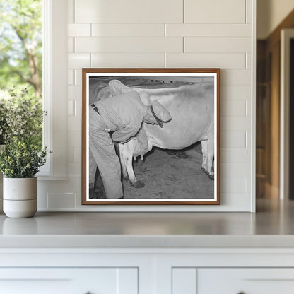 Farmer Washing Cow Udder at Texas Dairy Farm 1939 - Available at KNOWOL