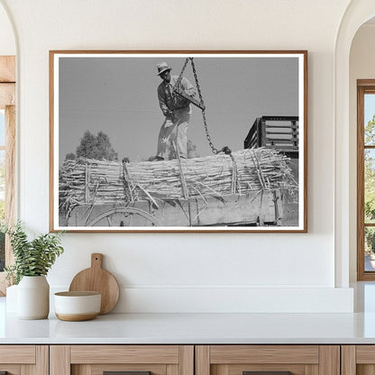 Farmer with Sugarcane Load New Roads Louisiana 1938 - Available at KNOWOL